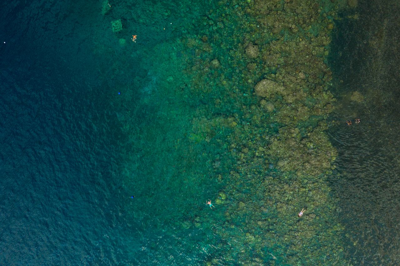 a stunning aerial view of swimmers exploring a vibrant coral reef in c