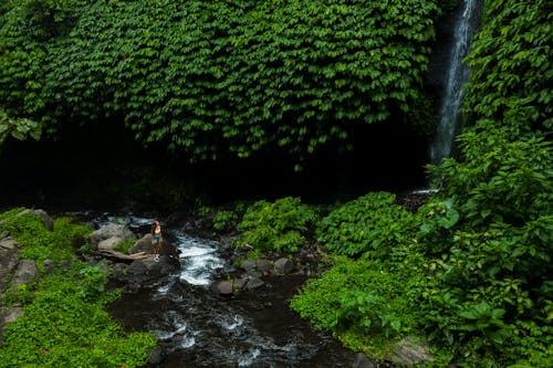 Woman Standing Near Waterfalls