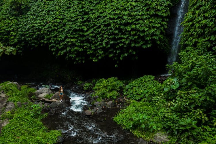 Woman Standing Near Waterfalls