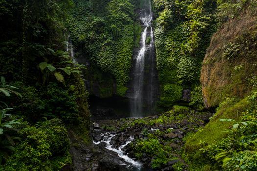 A tranquil waterfall cascading through a dense green jungle, creating a serene atmosphere.