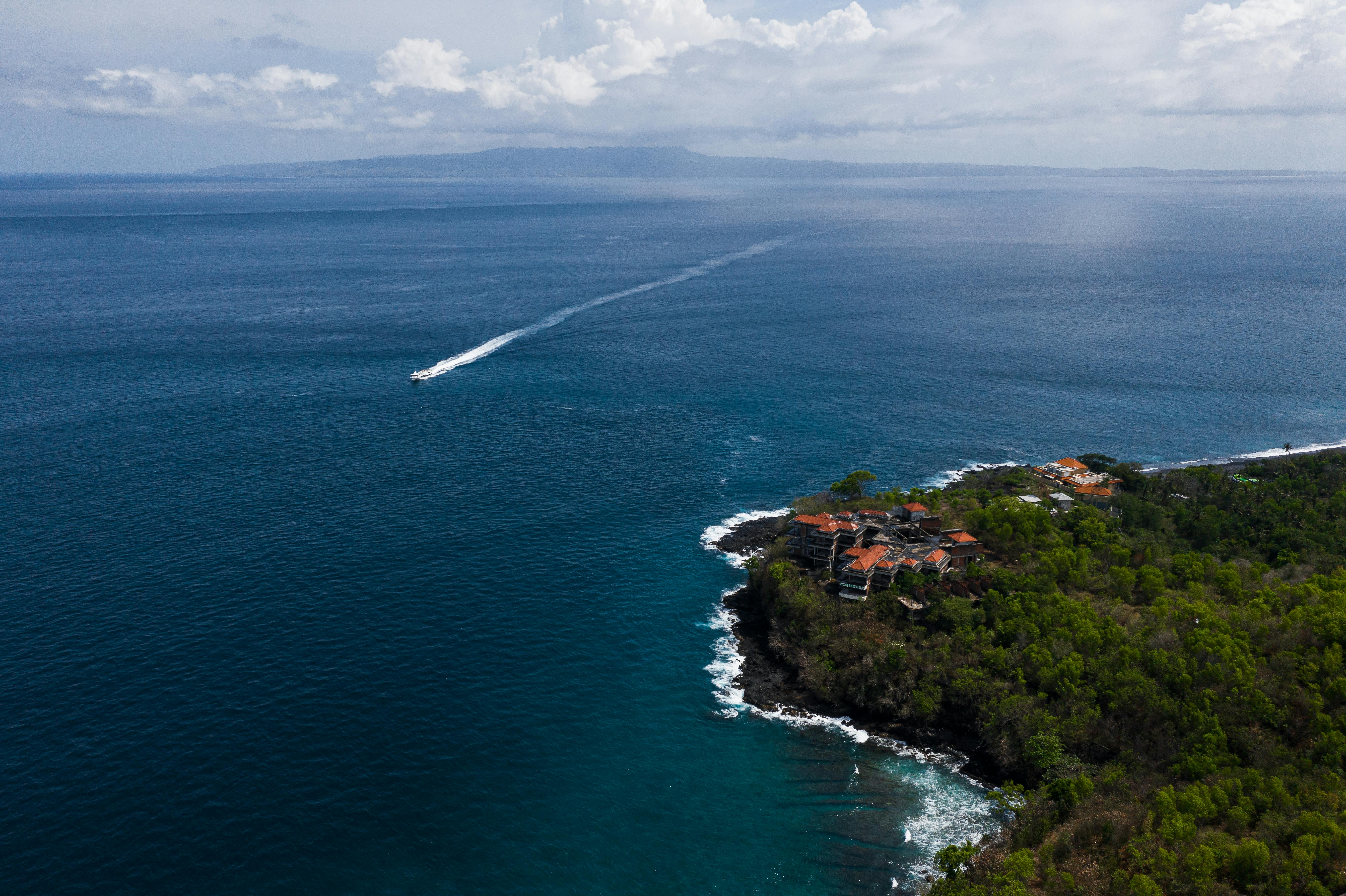 aerial view of green trees on island