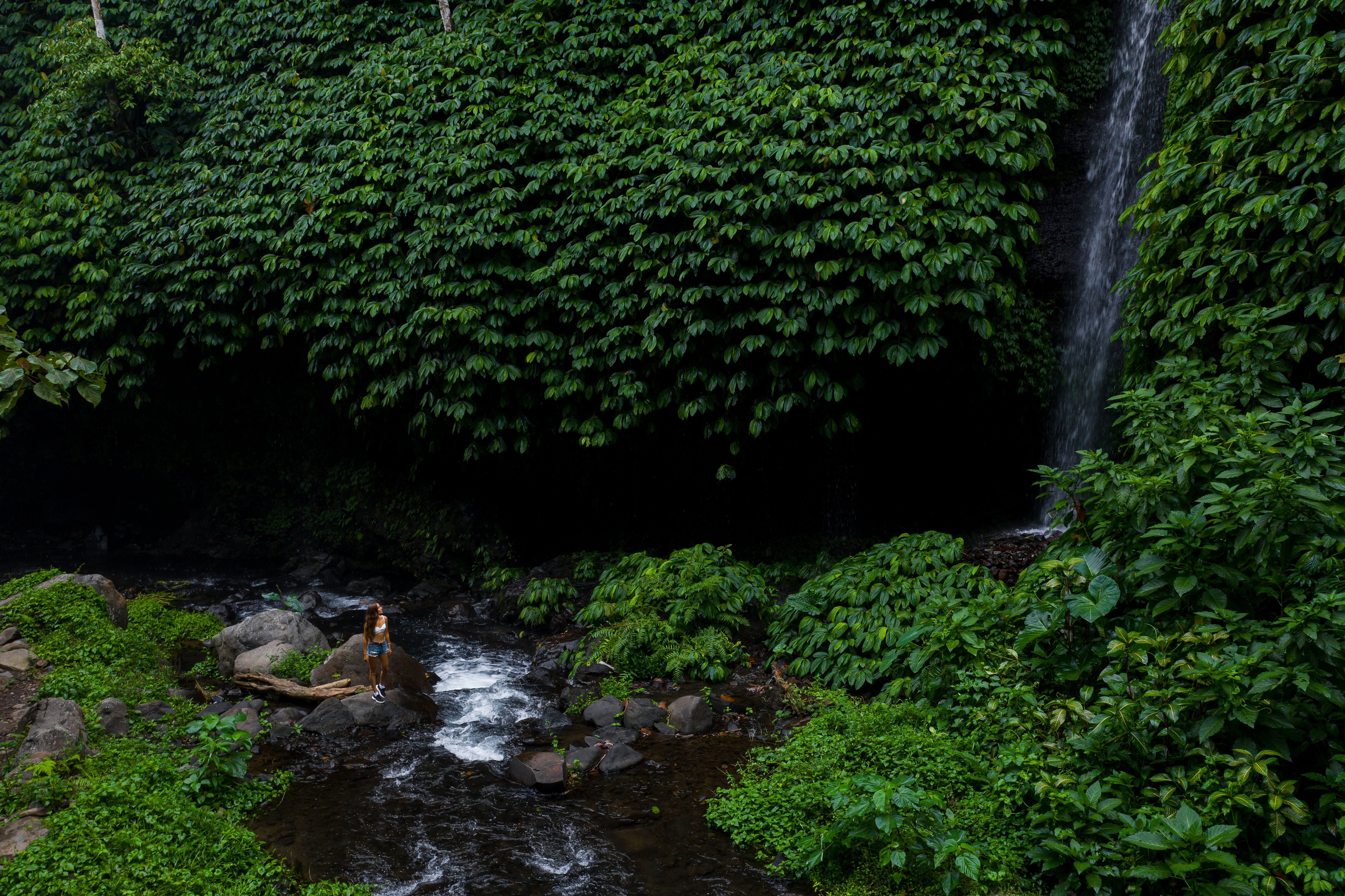 A Picturesque View of a Woman Standing Near a Waterfall · Free Stock Photo