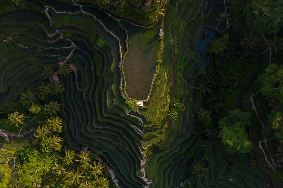 Kesimpulan: Sidrap Menawarkan Lebih dari Sekadar Sawah Kesimpulan: Sidrap Menawarkan Lebih dari Sekadar Sawah