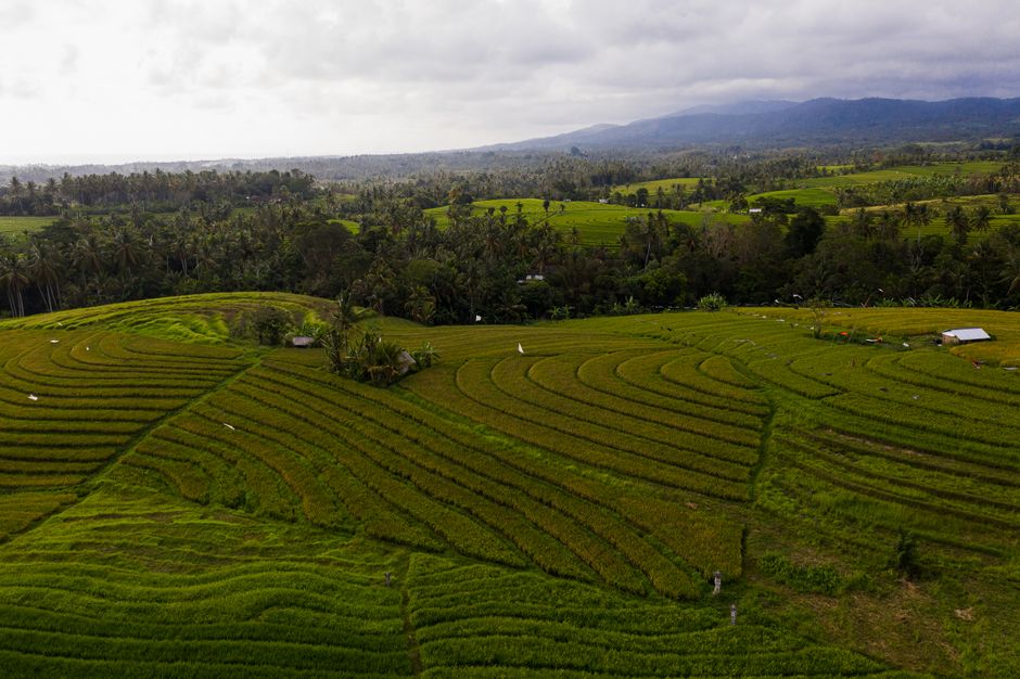 The Bali Laundry Scene: A Personal Perspective The Bali Laundry Scene: A Personal Perspective