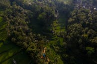 从上面体验巴厘岛郁郁葱葱的稻田的宁静，周围环绕着热带绿色植物