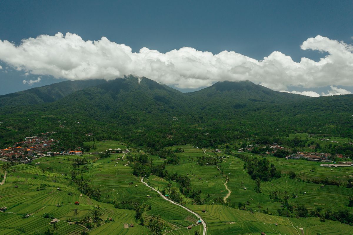 Arroyo del bosque