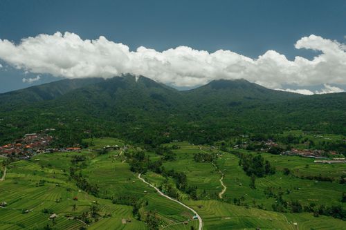 Free Breathtaking drone shot of verdant rice fields with majestic mountains in the background under a clear blue sky. Stock Photo