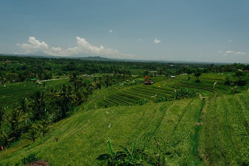 Beautiful Agricultural Land Under the Sky