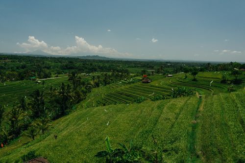 Free Expansive view of lush green rice terraces under a clear sky, showcasing rural agriculture. Stock Photo