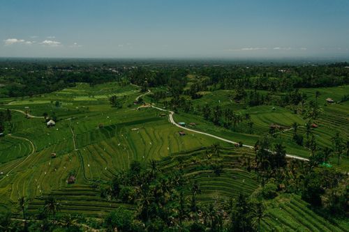 Free Scenic aerial photo of vibrant green rice terraces under a clear blue sky. Stock Photo