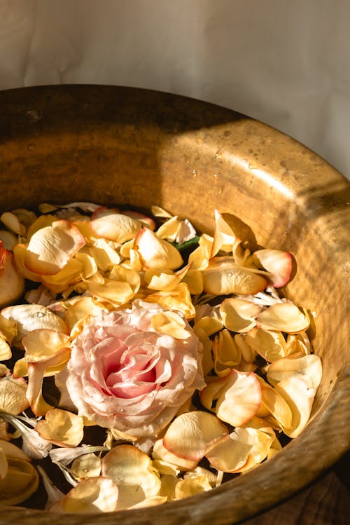 Rose Flower and Petals in a Bronze Wash Basin