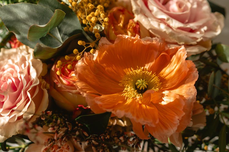 Assorted Flowers Arrangement In A Close-up Shot