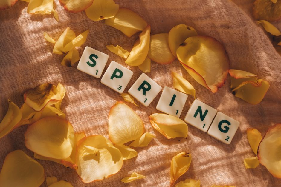 Artistic flat lay of spring letter tiles with yellow petals on soft fabric.