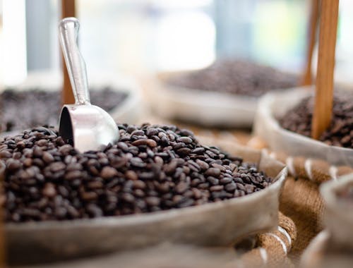 Free Close-Up Photo of Bags of Roasted Coffee Beans Stock Photo