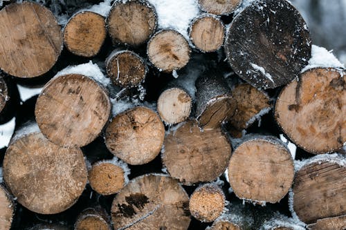 ağaç gövdeleri, doğranmış tahtalar, kar içeren Ücretsiz stok fotoğraf