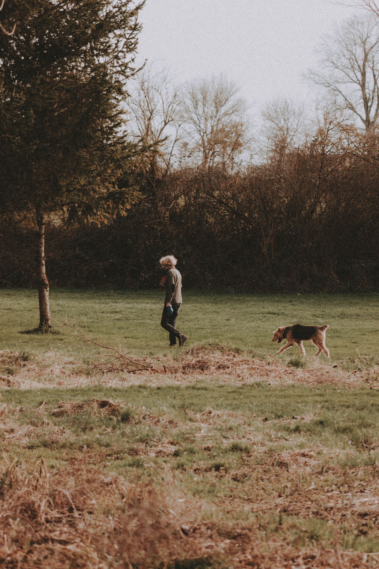 Pet parent enjoying a peaceful walk with a dog