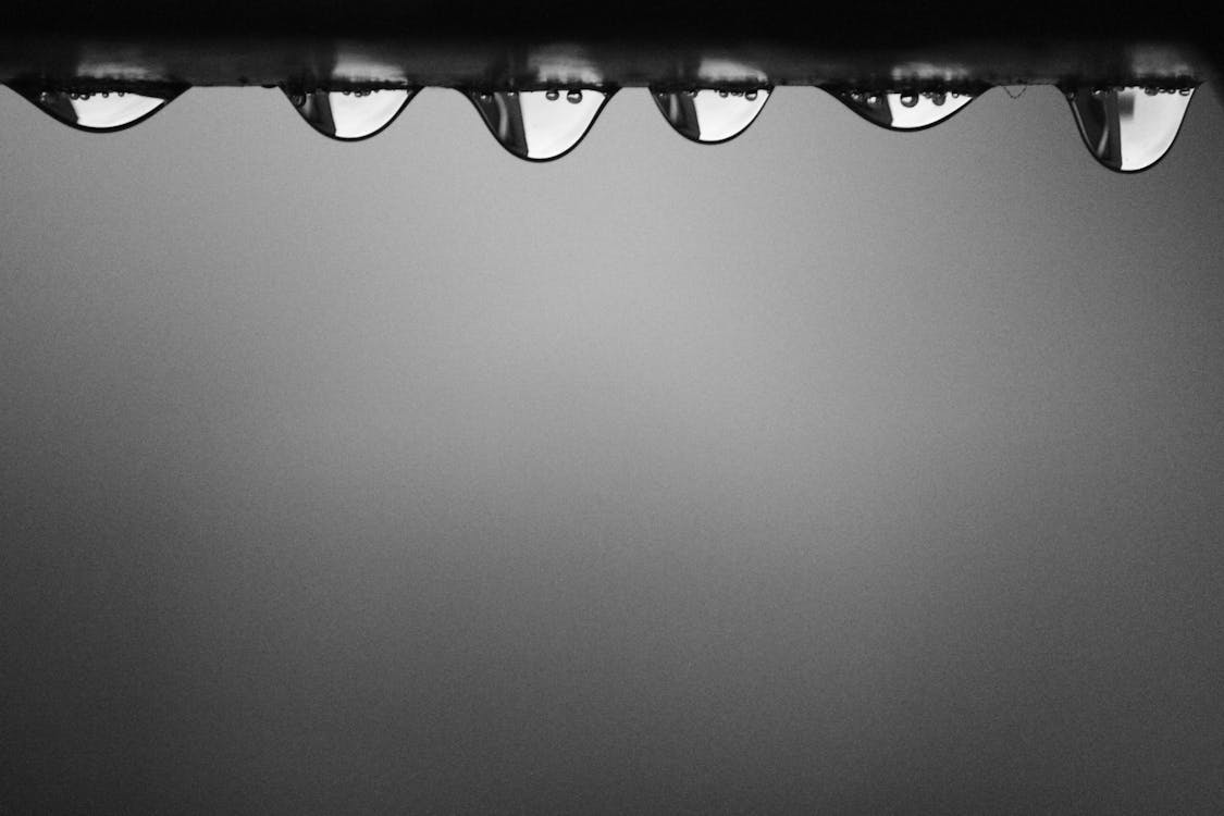 Tear Drops Macrofotografie