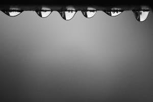 Tear Drops Macro Photography