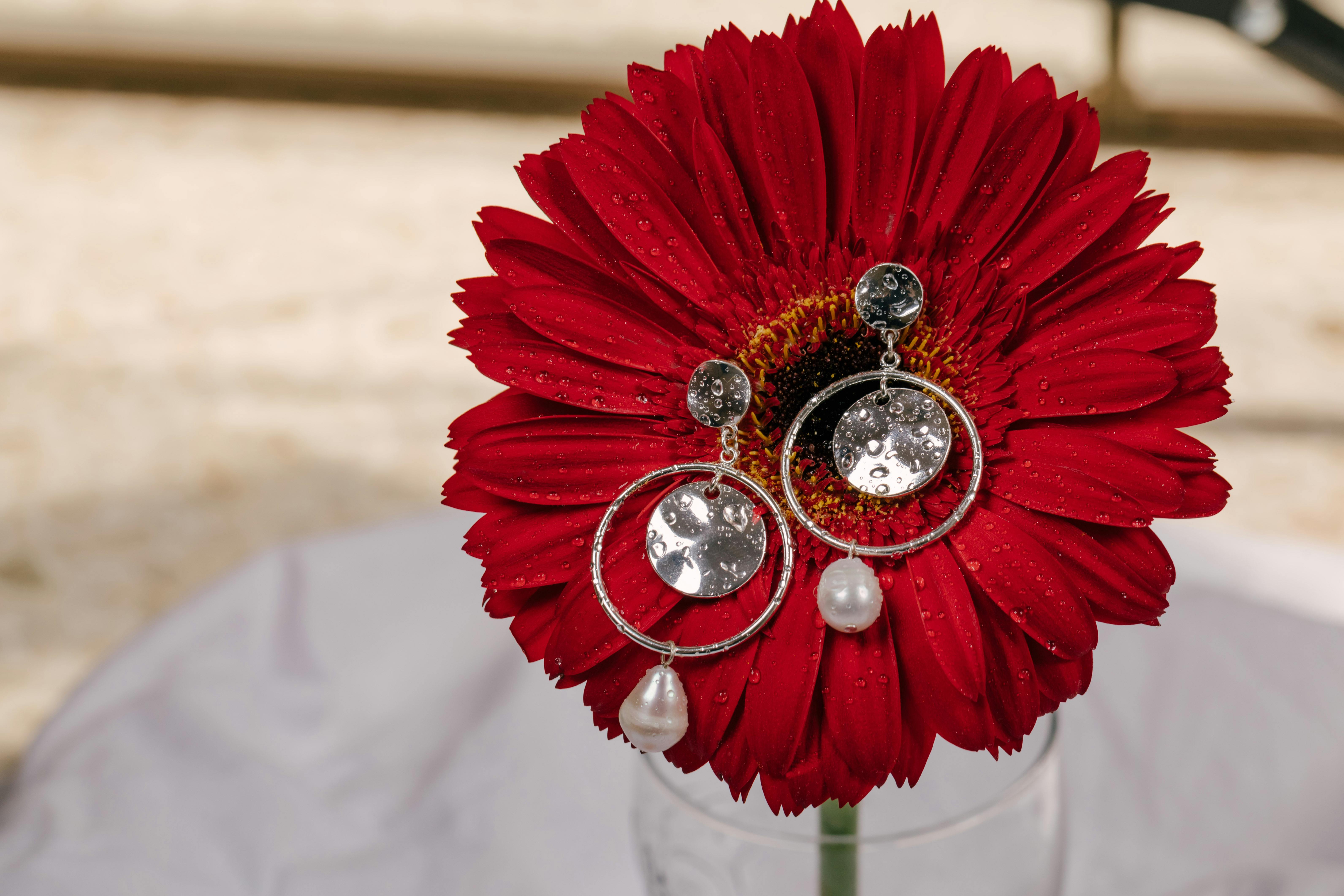 Close-Up Photo of Silver Earrings on Top of a Red Flower · Free