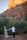 sedona