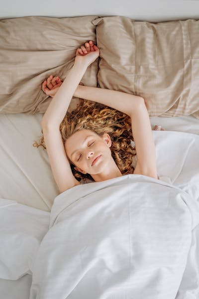 Chamomile tea and lavender for better sleep on our wellness blog