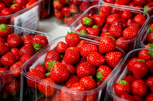 Free Red Strawberries in Clear Plastic Containers Stock Photo