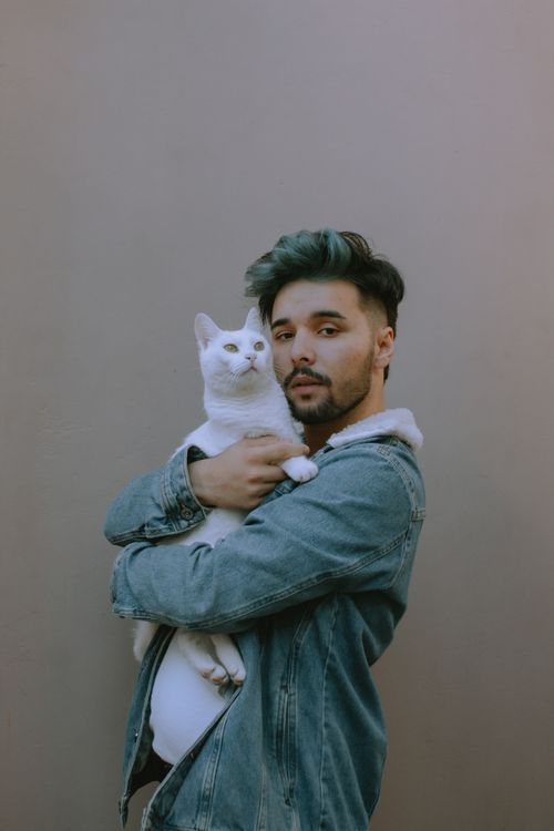 Free Young man in denim jacket holding white cat against gray background, showcasing companionship. Stock Photo