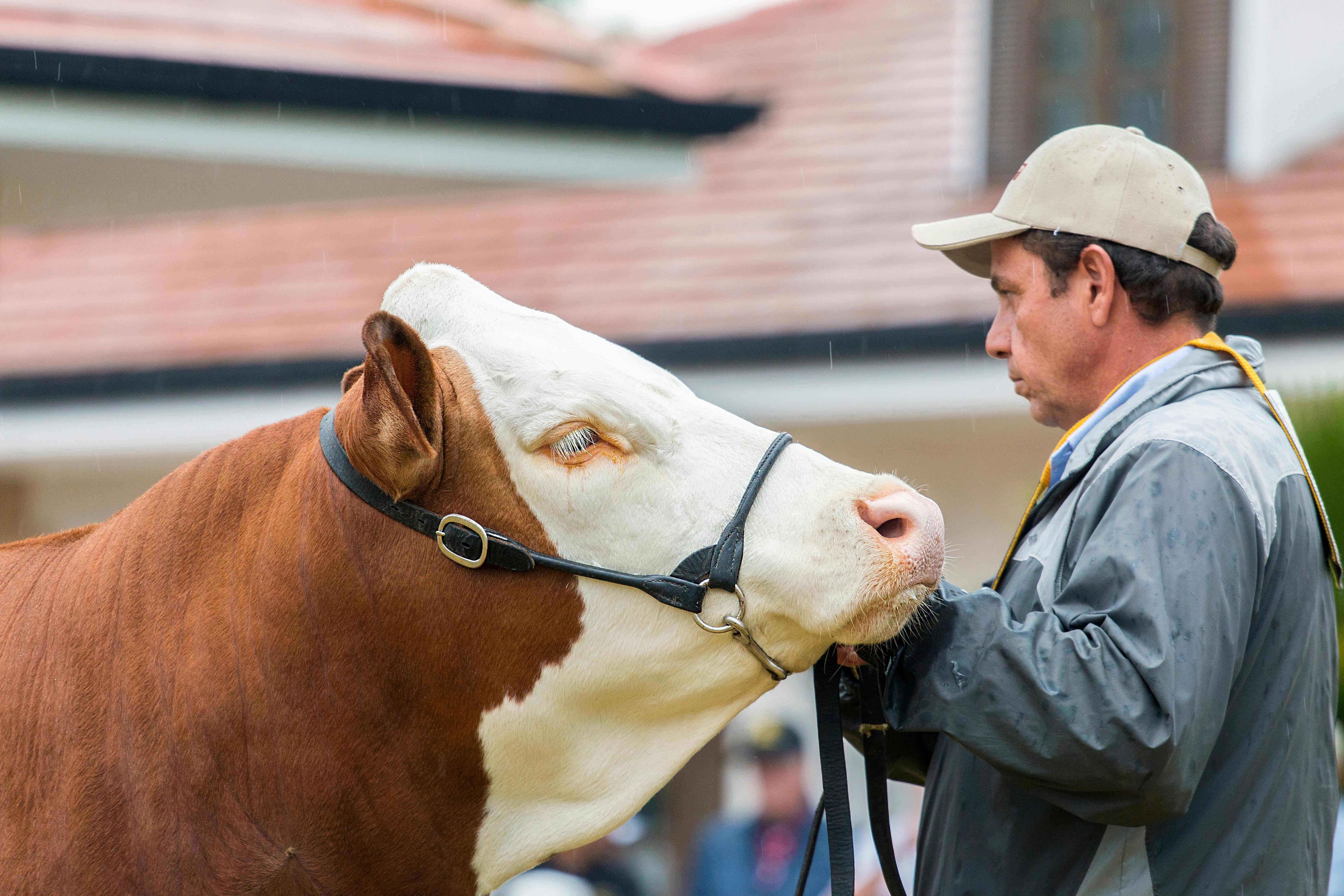 Gratuit Photos gratuites de agriculteur, agriculture, agriculture moderne Photos