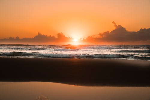 Free stock photo of areia, beach, brasil