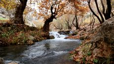 Stream Images