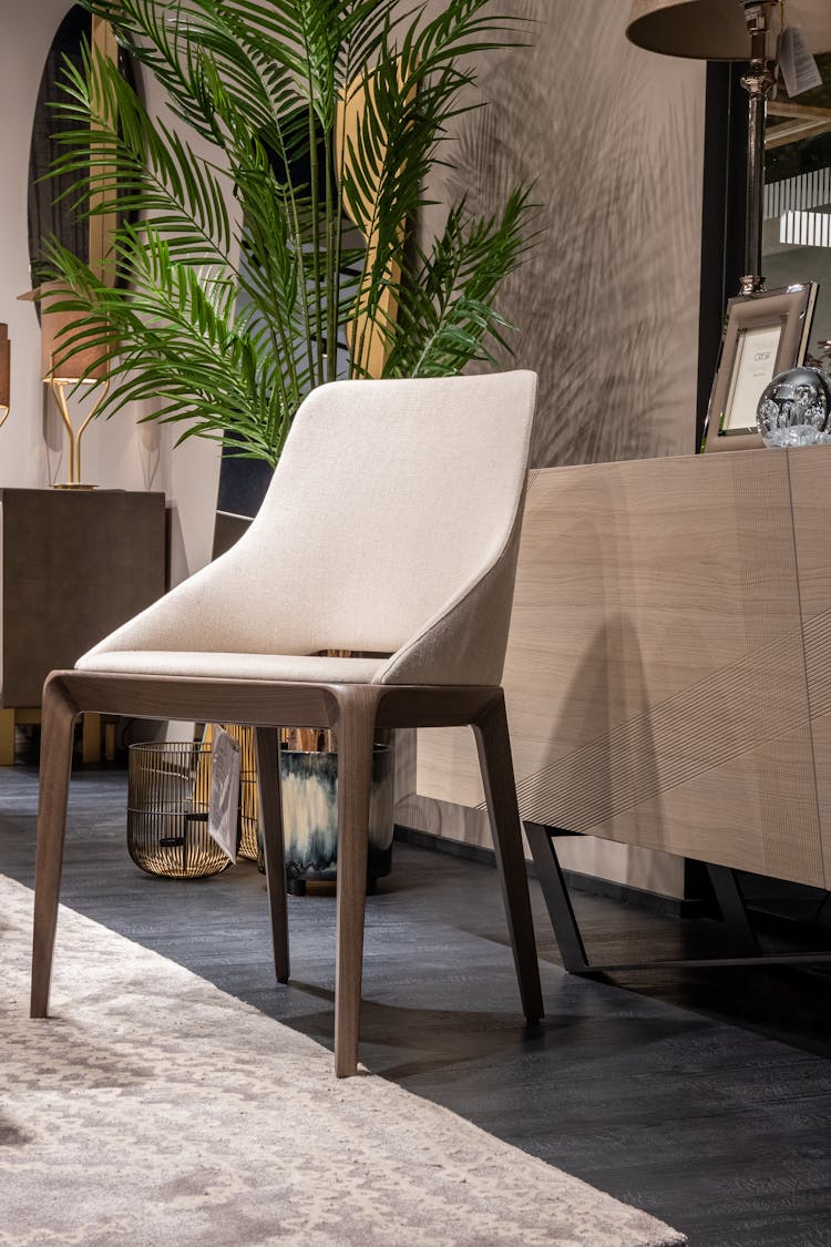 Stylish Chair Near Potted Plant And Cabinet