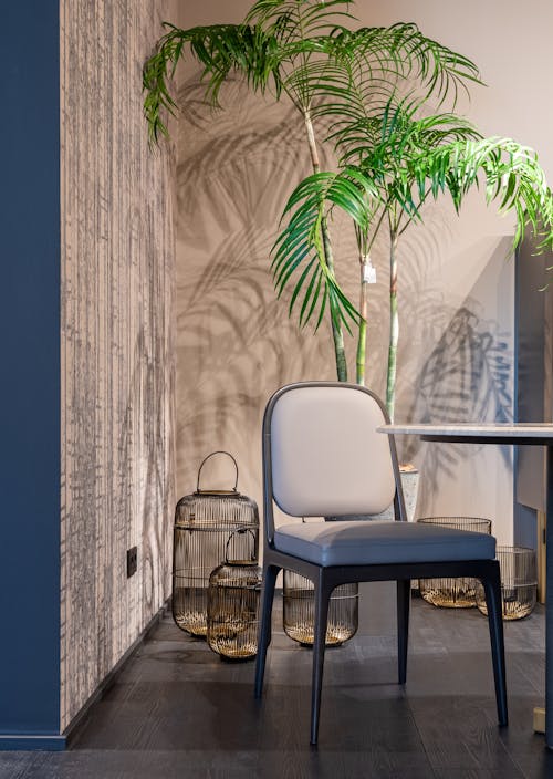 Comfortable chair placed near table lush houseplant and creative floor decorations in modern apartment