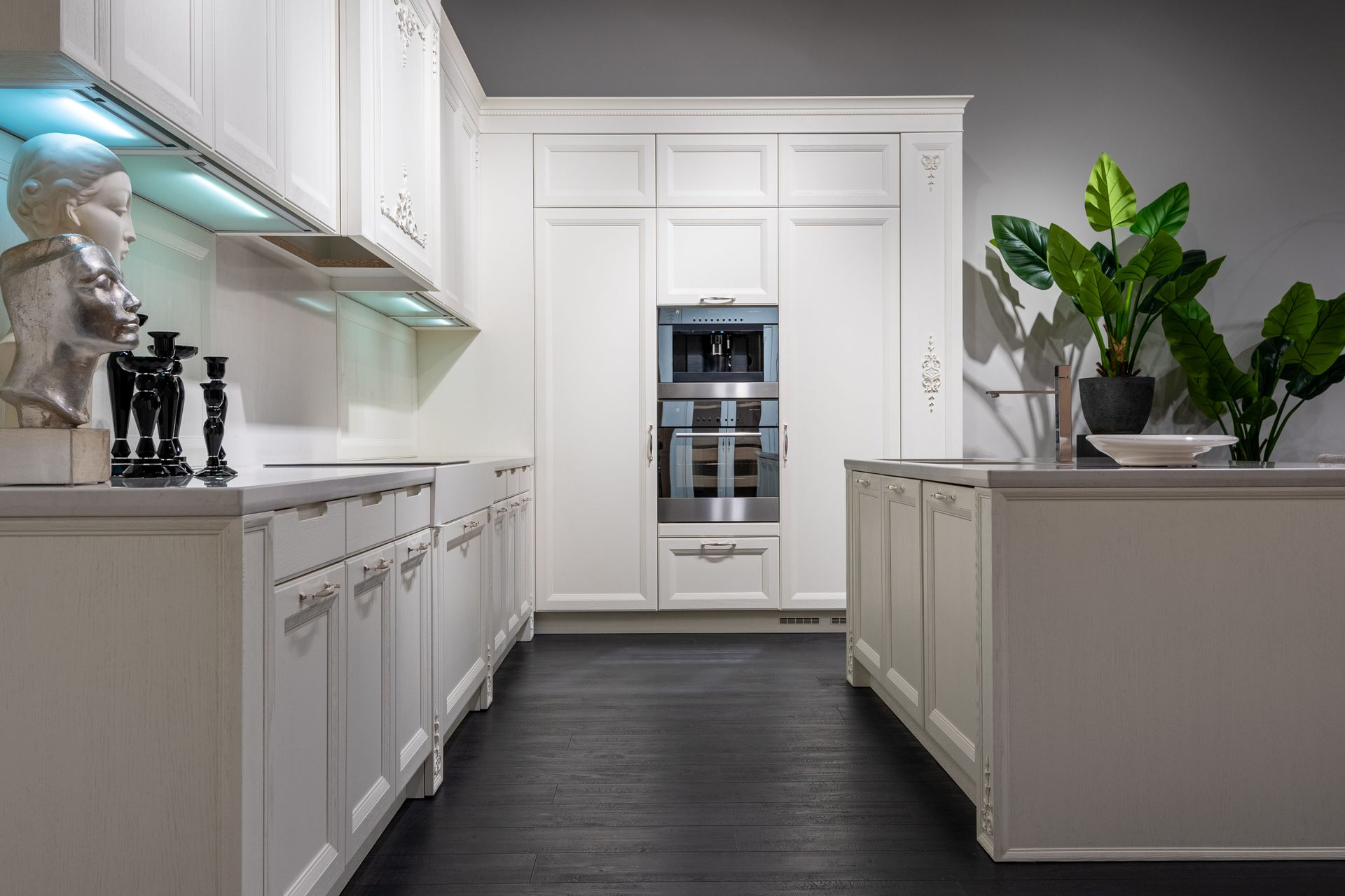 Contemporary stylish kitchen with white furniture