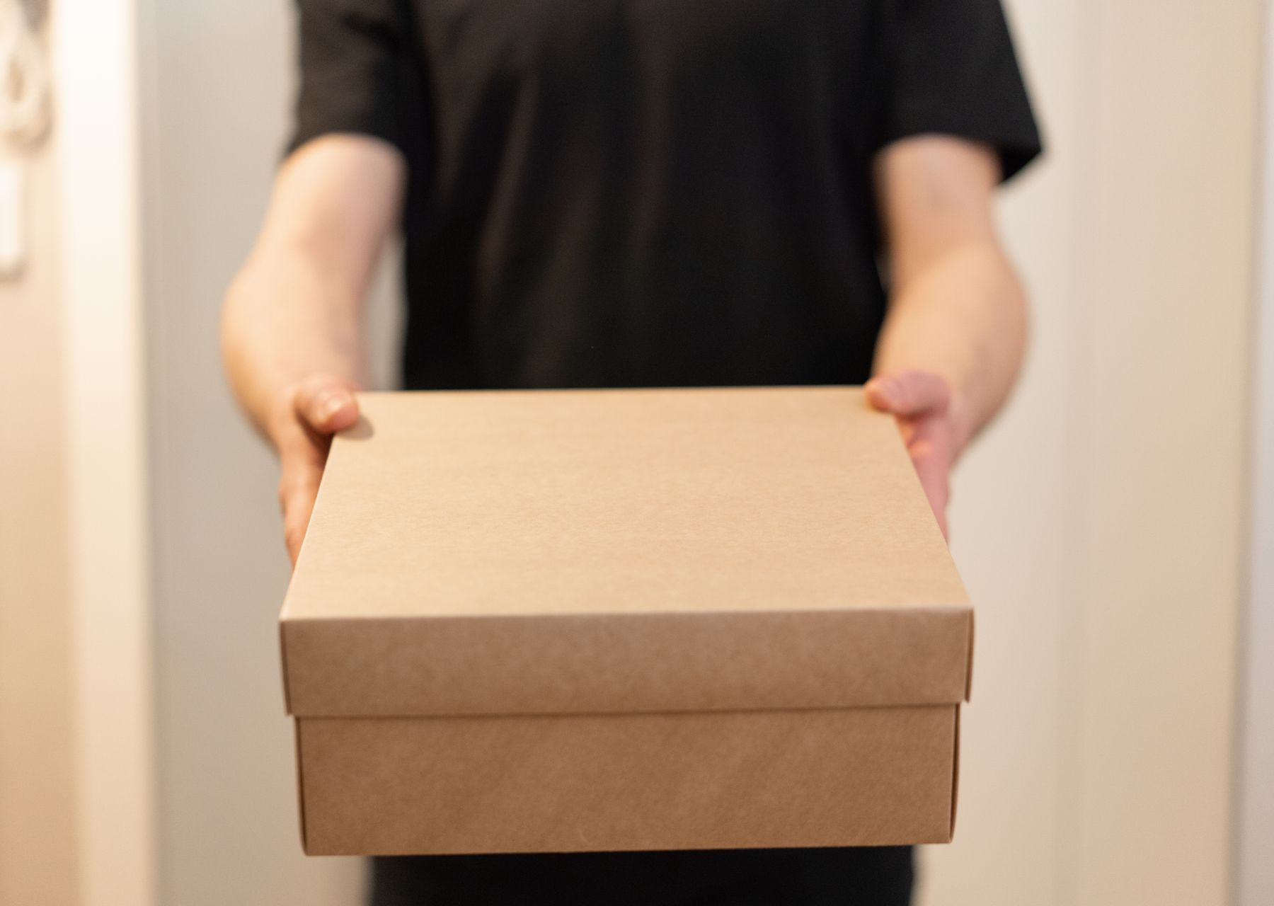 Professional removals crew at work — man and van Halling