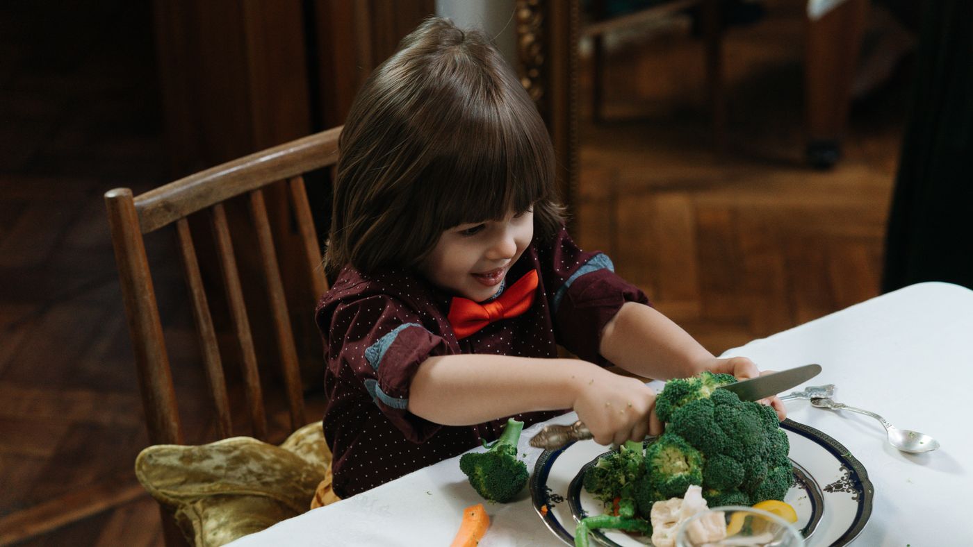 Building a Kid's Plate by the Color Food Groups (A Simple Guide)