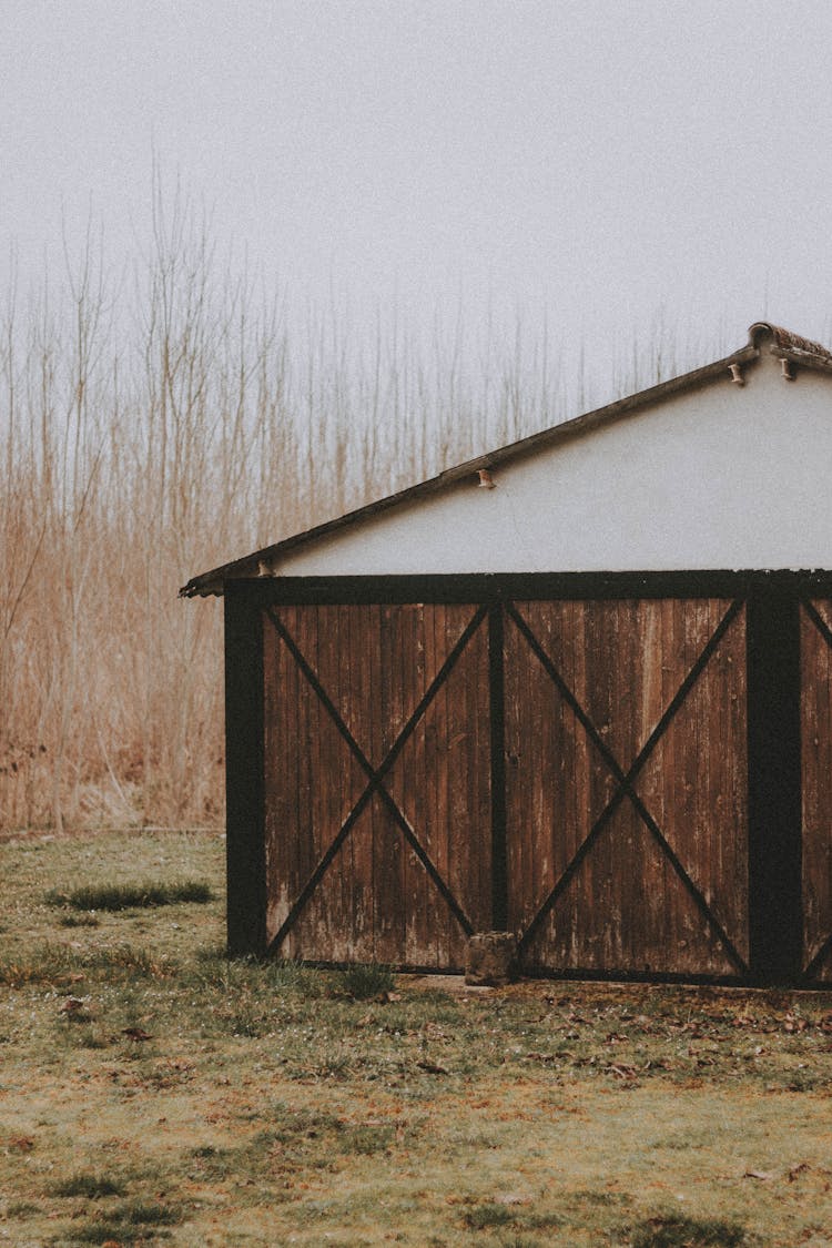 Small Shed On Grassy Field In Countryside