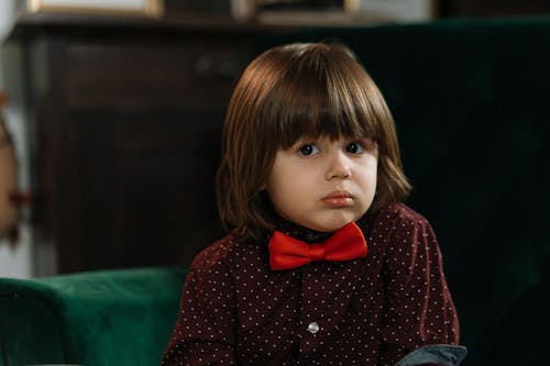 Free Close Up Photo of Kid Wearing Red Bow Tie Stock Photo