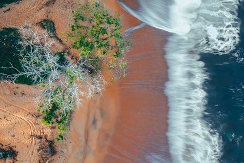 Fotos de stock gratuitas de agua, Agua de mar, aguamarina