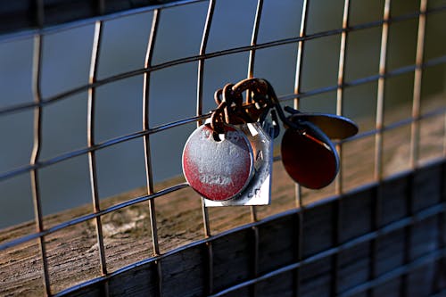 Free stock photo of chain link fence, dog tags, locked