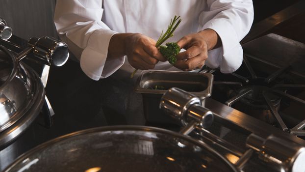 Close-up of a chef preparing parsley in a professional kitchen setting.