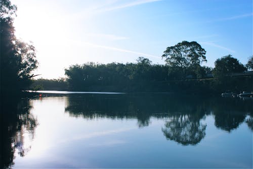 Foto profissional grátis de água, árvores, barcos