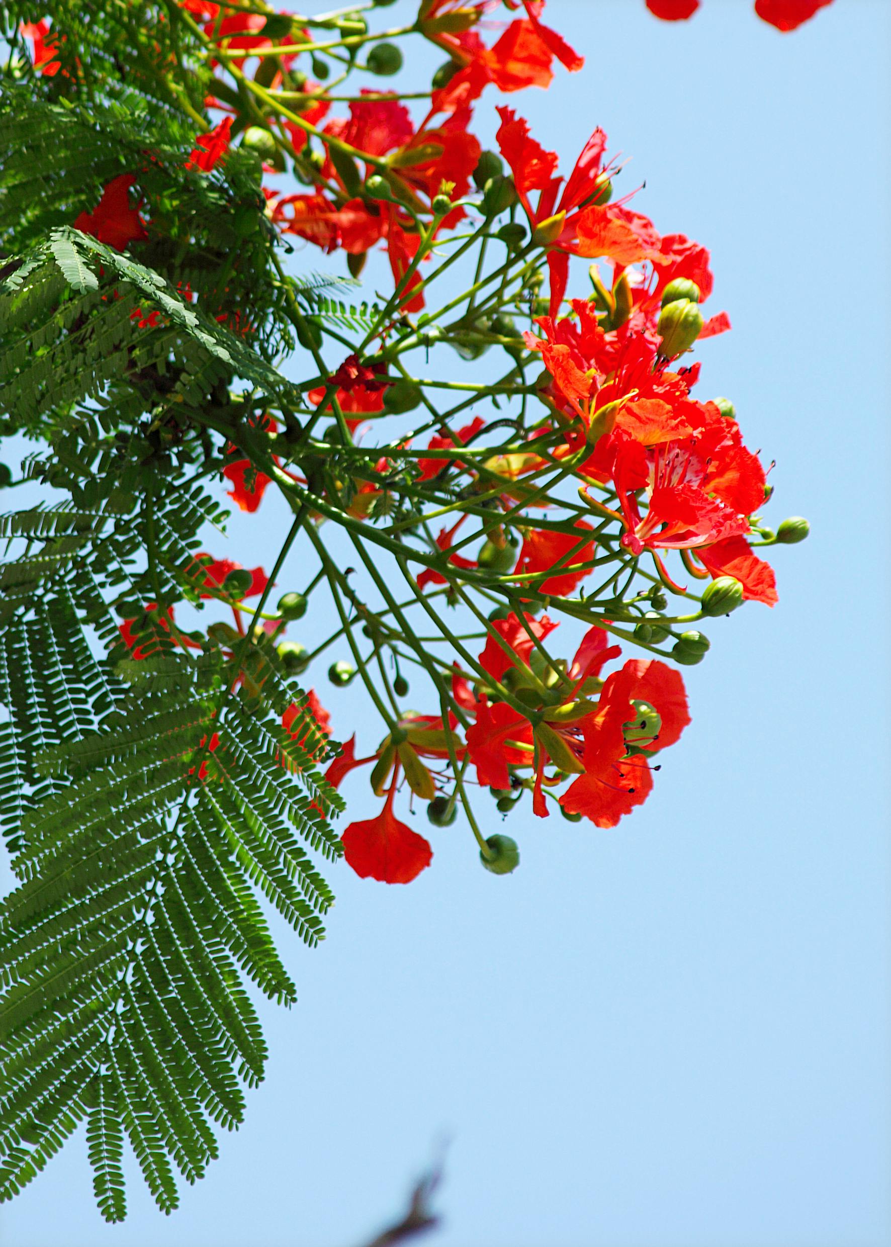 Pai e filho de mãos dadas