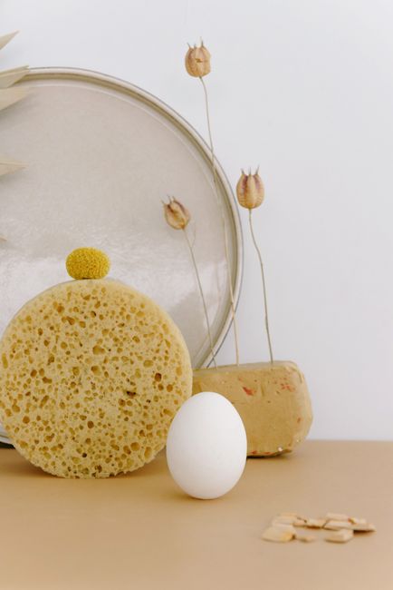 Artistic arrangement of dried flowers, a sponge, and an egg on a neutral backdrop.