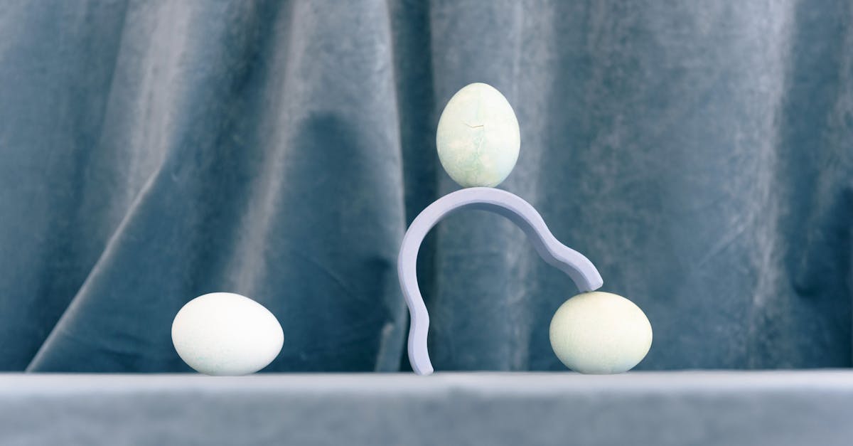 What does white balance mean on a camera