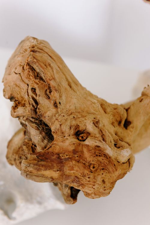 Free Detailed close-up of driftwood showcasing its intricate texture and patterns. Stock Photo