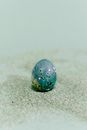 Blue Egg in Close Up Shot