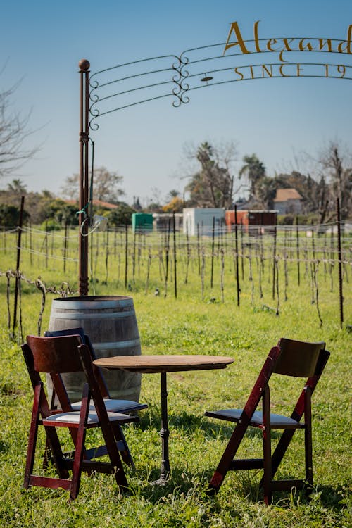 Old wooden table with chairs placed near shabby barrel and arched signboard on suburban yard with fence for growing wine grape