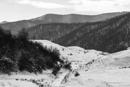Free Explore a serene winter landscape with snow-covered hills and bare trees in monochrome. Stock Photo