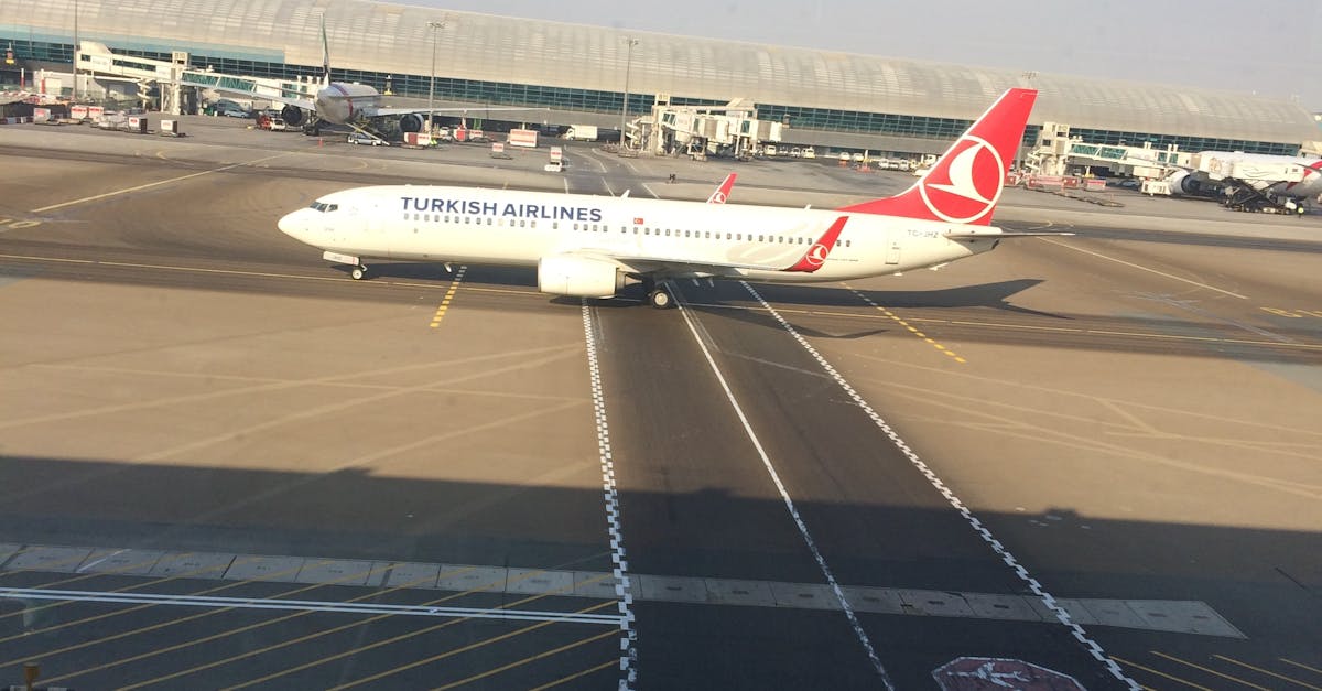 Free stock photo of Turkish Airlines At the Dubai Airport