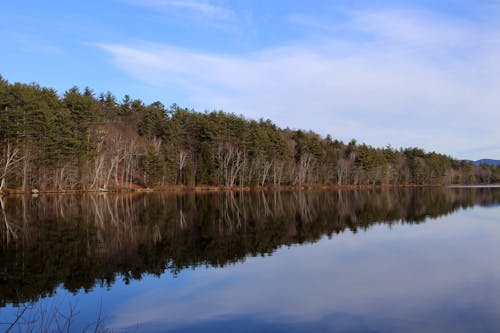 bezplatná Základová fotografie zdarma na téma jezero, les, mraky Základová fotografie